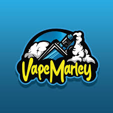 Vaping in the Modern Era: How Mr Fog Fury, Blitz, and Assault Are Redefining the Experience