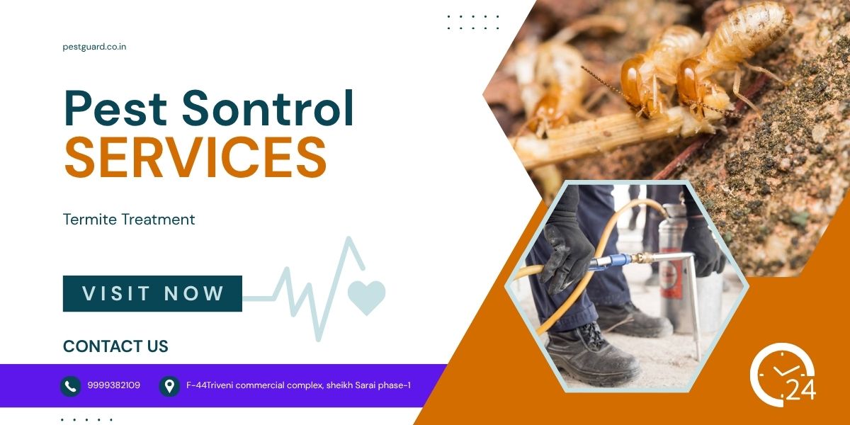 Expert Pest Control Termite Treatment – Protect Your Home Today!
