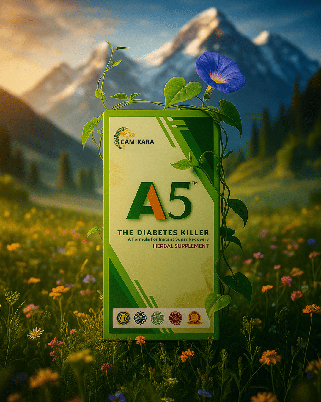 A5 Herbal Supplement