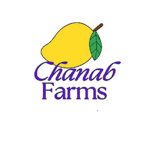 Buy Premium Dry Mango in Pakistan – Naturally Sweet & 100% Organic from Chanab Farms