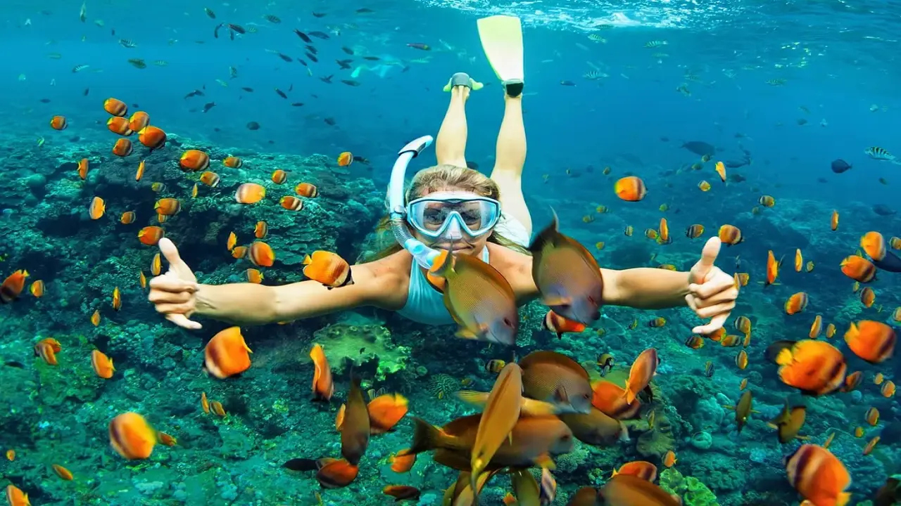 The Best Snorkeling Spots in the Andaman Islands