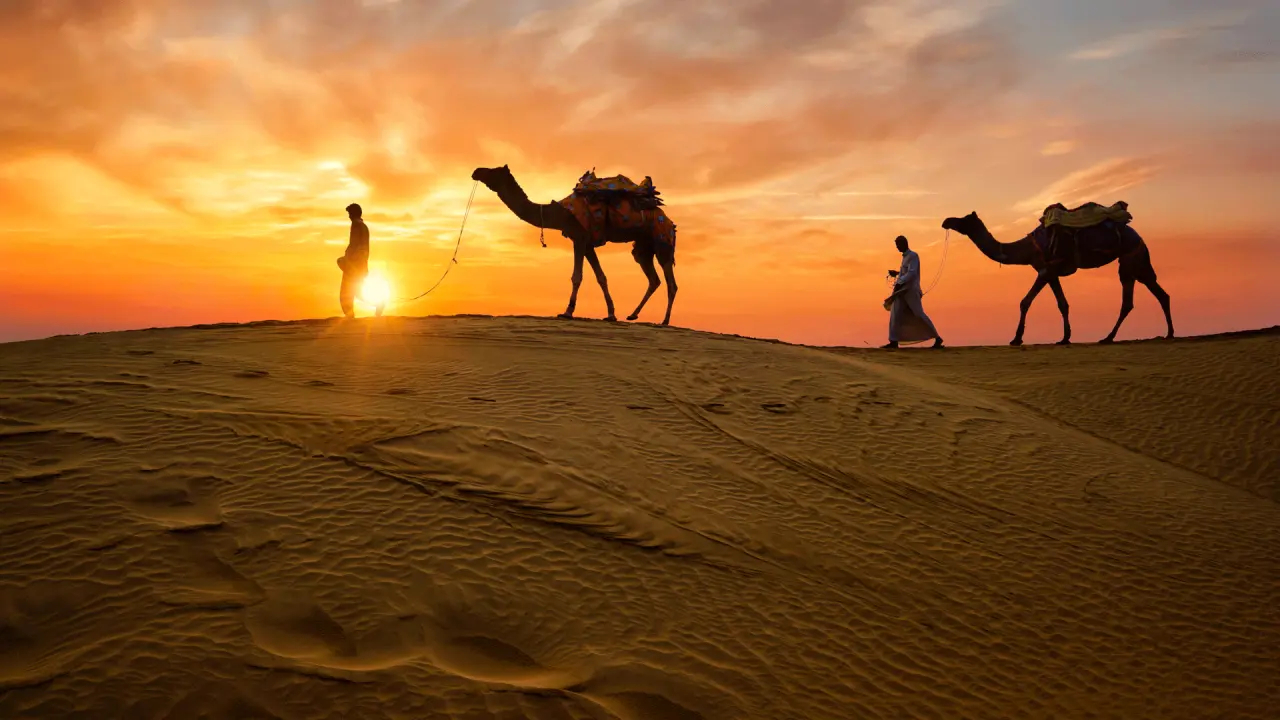 Top 10 Places to Visit in Rajasthan: A Travel Junky Guide to the Land of Kings