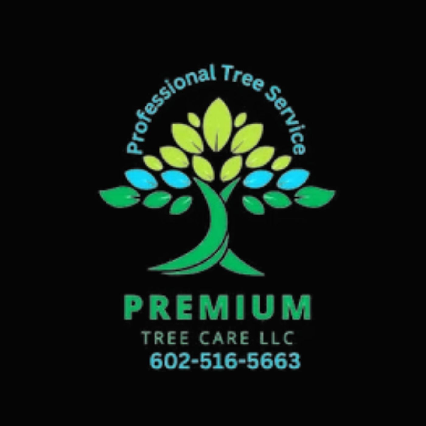 Premium Tree Care LLC | Tree service in Phoenix AZ