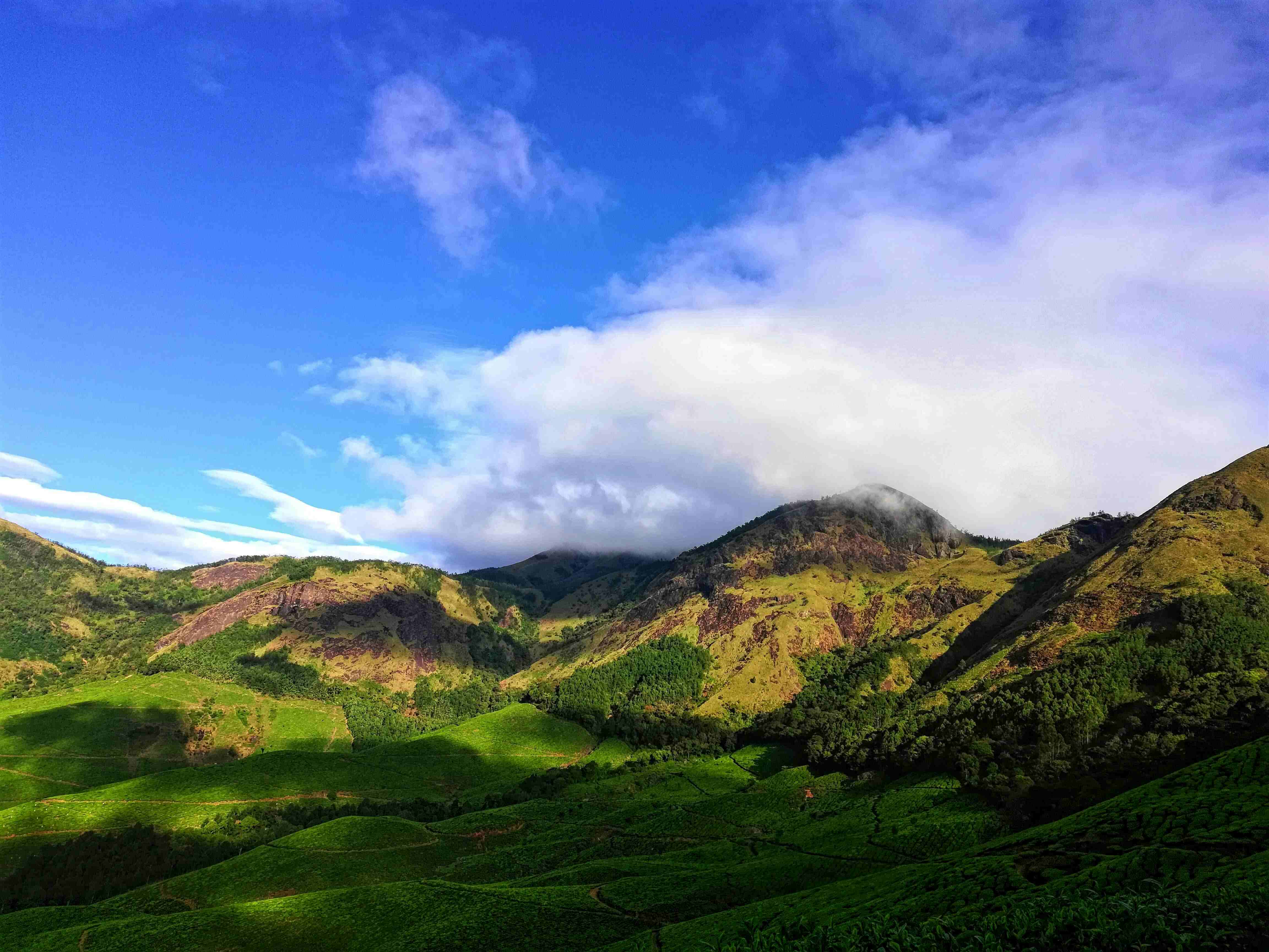 Kerala Tour Packages: Family, Honeymoon & Adventure Options