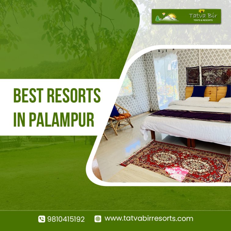Enjoy Your Stay at the Best Resorts in Palampur